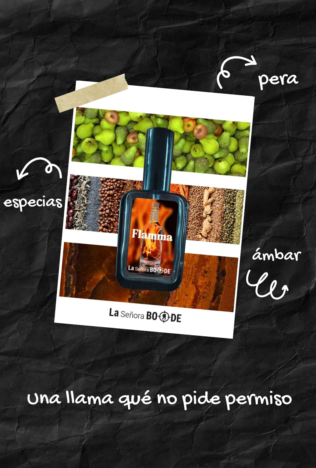 SEÑOTA BORDE - FLAMMA