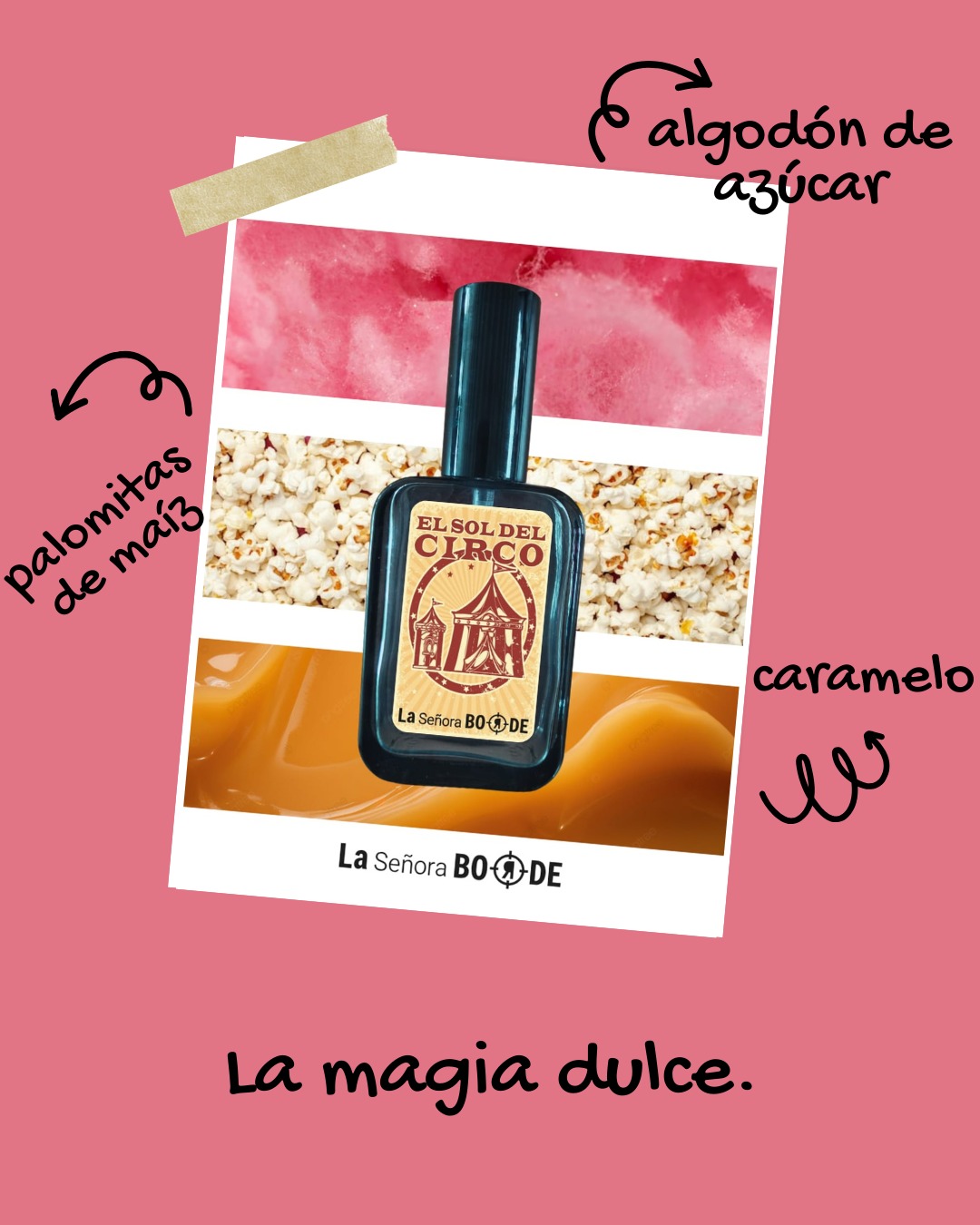 WhatsApp Image 2026-02-25 at 15.15.30