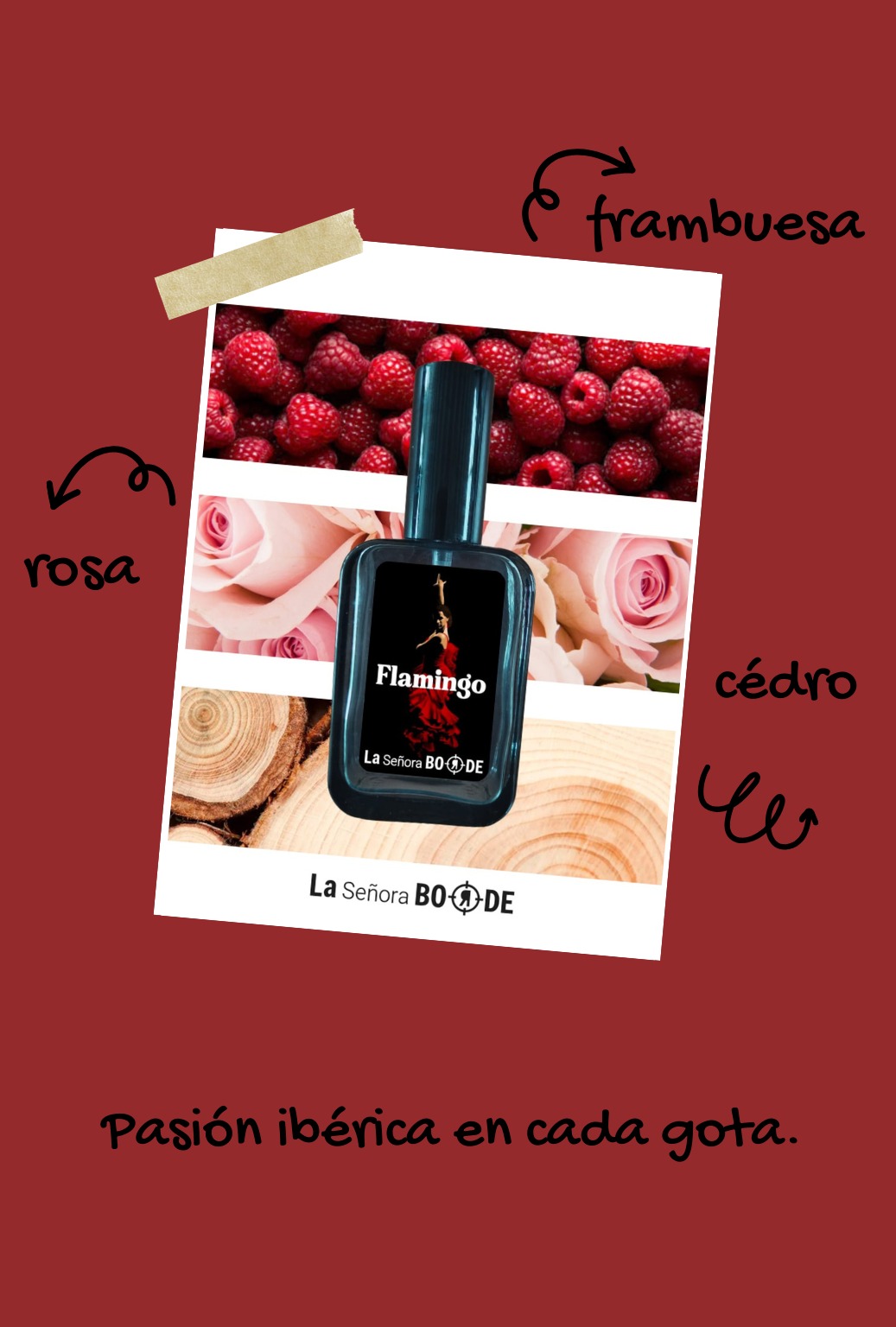 WhatsApp Image 2026-02-25 at 15.15.41