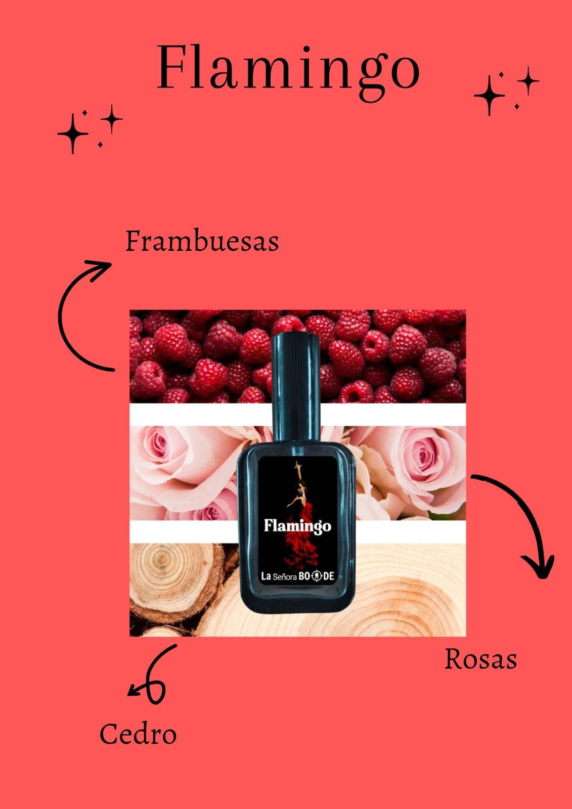 WhatsApp Image 2026-03-02 at 12.00.15 (1)