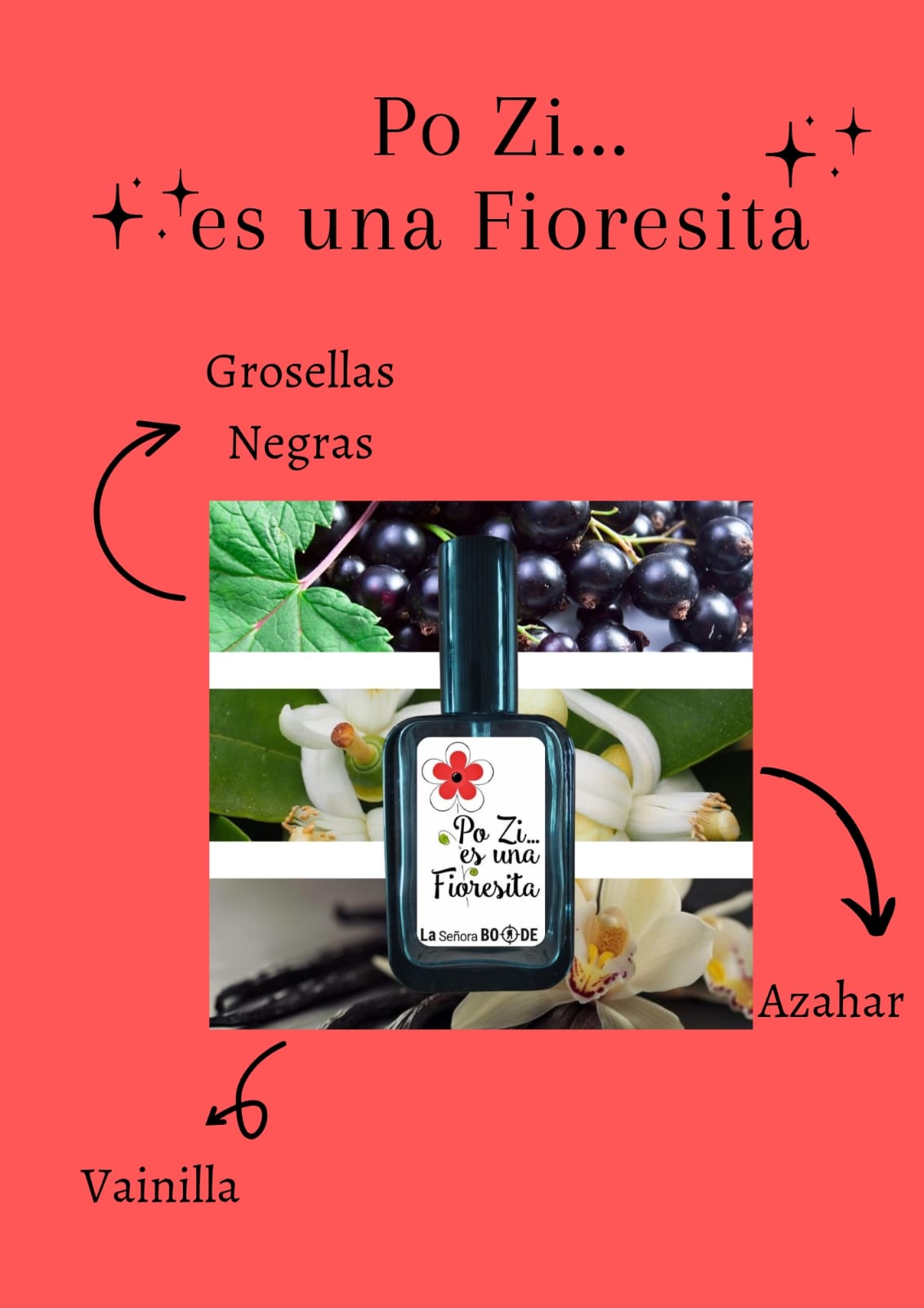 WhatsApp Image 2026-03-24 at 15.47.51 (1)