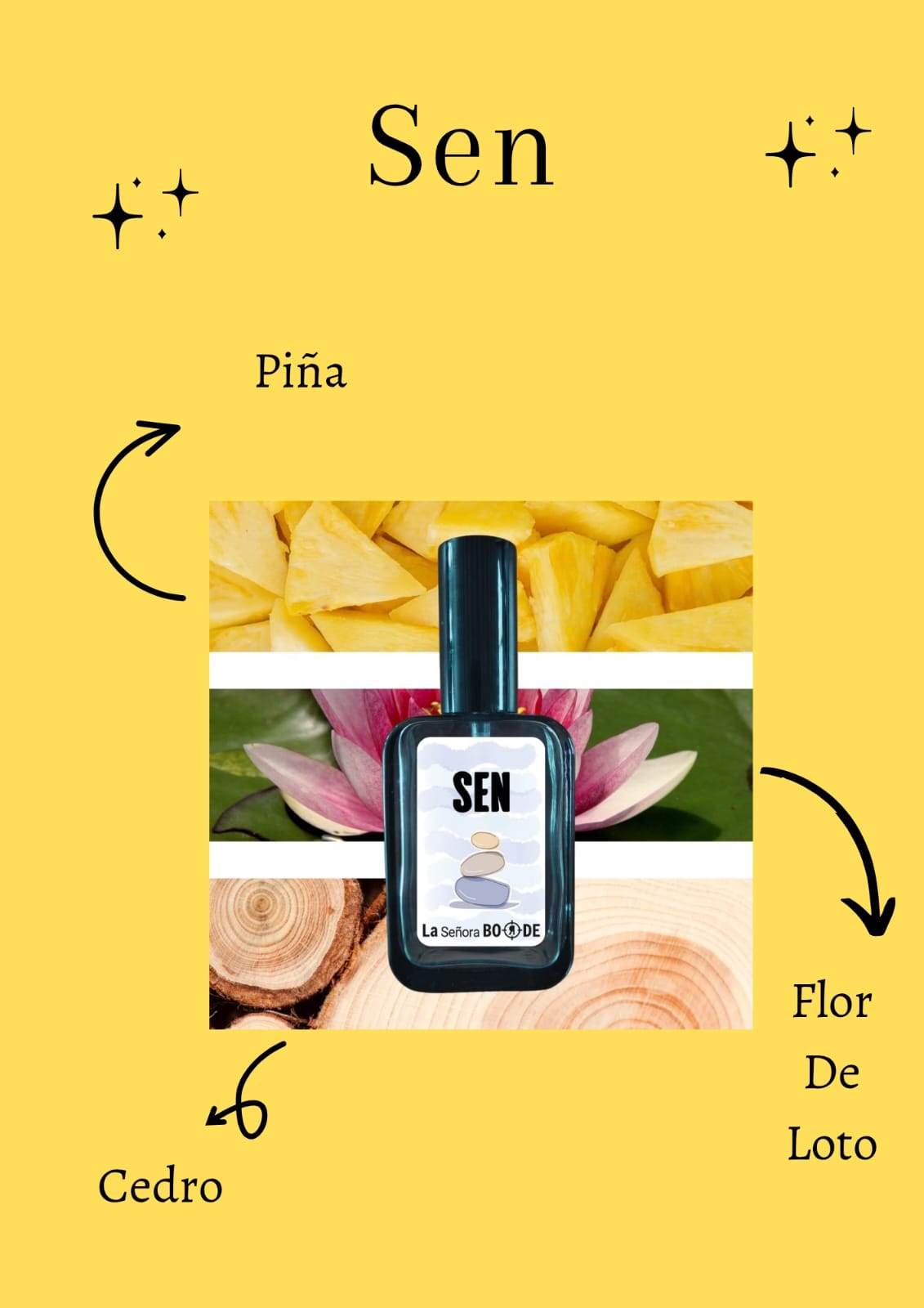 WhatsApp Image 2026-03-24 at 15.47.51